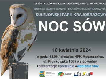 Zapraszamy na Noc sów w Oddziale Nadpilicznych Parków Krajobrazowych, 